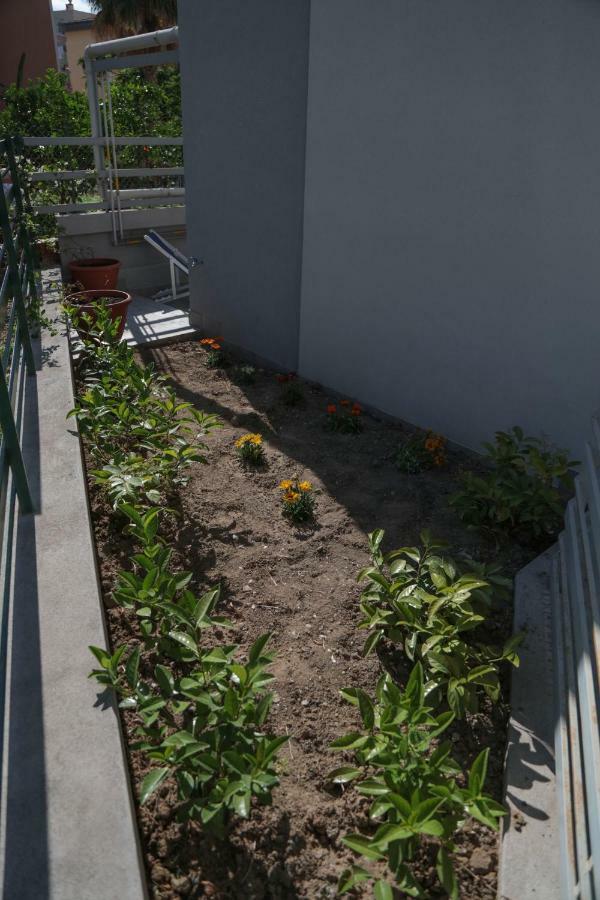 Casa Rinuccia Apartment เชฟาลู ภายนอก รูปภาพ